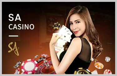 Chương trình VIP HV88